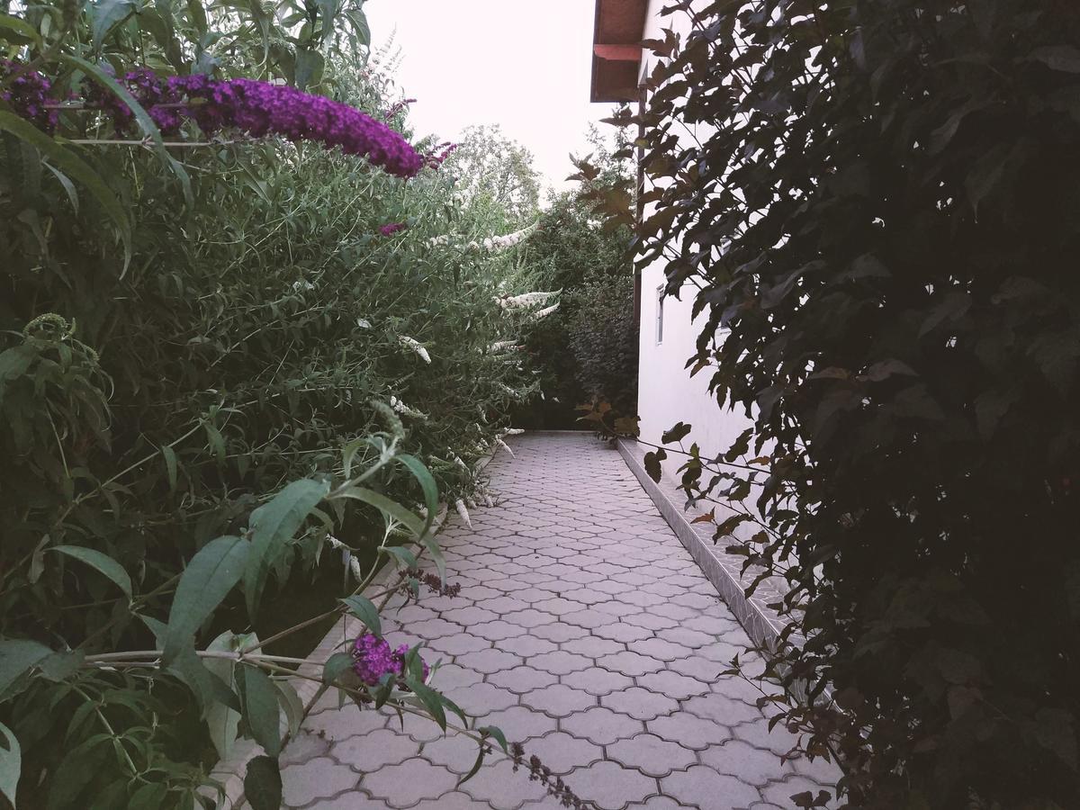 Guest House Leto Dolinka Exterior photo